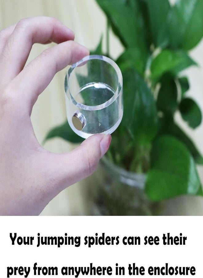 JILINWEI Small Jumping Spider Feeding Dish, Magnetic Tiny Food Dishes Water Dish for Jumping Spider, Tarantula and Other Small Pets,35mm, Clear - Image 2